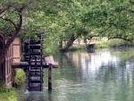 Wasabi Farm Water Mill